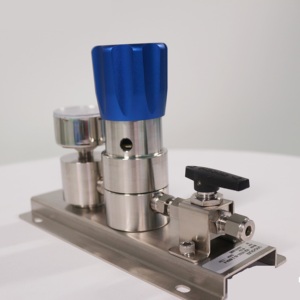 Régulateur de gaz mural VIGOUR 100 bar entrée/50 bar sortie avec jauge à membrane <span class=keywords><strong>pour</strong></span> gaz <span class=keywords><strong>propane</strong></span> argon acétylène - Product Image 4