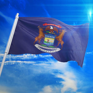 Produk Promosi 48H Pengiriman 3X5 Kaki 100% Poliester Setiap Sablon Logo Digunakan Di Sekolah Kustom Bendera Michigan - Product Image 3