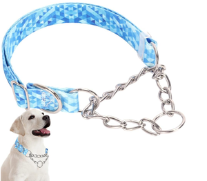 سلسلة مثلث من الفولاذ المقاوم للصدأ للحيوانات الأليفة ، طوق كلب مارتينجيل مع سلسلة - Product Image 2