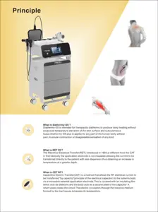 Master Fever 448k 360 rotierende HF 448kHz 20kHz Deepba RET CET RF Tecar-Therapie Fett verbrennung Gewichts verlust Körpers chlankheits maschine