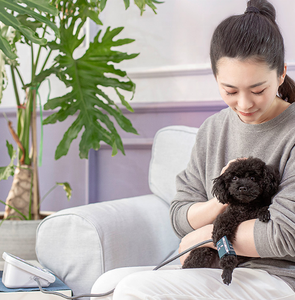 Esfigmomanómetro veterinario de 2024, medidor de presión arterial, monitor de presión arterial, NIBP manguito, cuidado de animales para perros/gatos/mascotas - Product Image 3