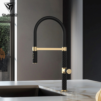 Robinet de cuisine de luxe, extractible, en acier inoxydable, mitigeur de cuisine à poignée unique, robinet flexible gourmet pour évier de cuisine