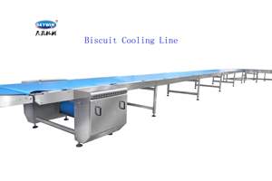 Solución completa de alta productividad SKYWIN para máquina <span class=keywords><strong>Cracker</strong></span> de crema y máquina para hacer <span class=keywords><strong>galletas</strong></span> Panda de línea de producción de <span class=keywords><strong>galletas</strong></span> Precio - Product Image 5