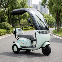 Tricycle électrique pour adultes, moteur sans balais, cadre en acier haute teneur en carbone, batterie 60V 1500Wh, 3 roues, freins à disque, 60 km d'autonomie
