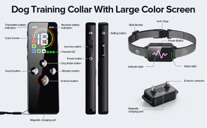 Novo 2000FT Beeper Vibração Choque anti-falsa activition Dog Training <span class=keywords><strong>Collar</strong></span> Choque Coleiras - Product Image 4