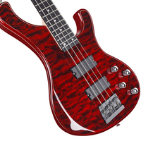 OEM Wholesale High Grade 5 String 24 Frets H-H Pickup Zinc Alloy Machine Heads Powder Coated Finish Solid Rosewood Guitar
