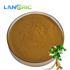 ベストセラー葛根エキスプエラリアロバタエキス粉末 - Product Image 1