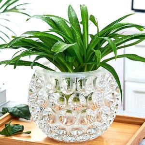 라운드 클리어 인 물 재배 작은 콩 콩나물 돈 잔디 차 테이블 데스크탑 화분 가정 장식용 크리스탈 유리 꽃병 - Product Image 1