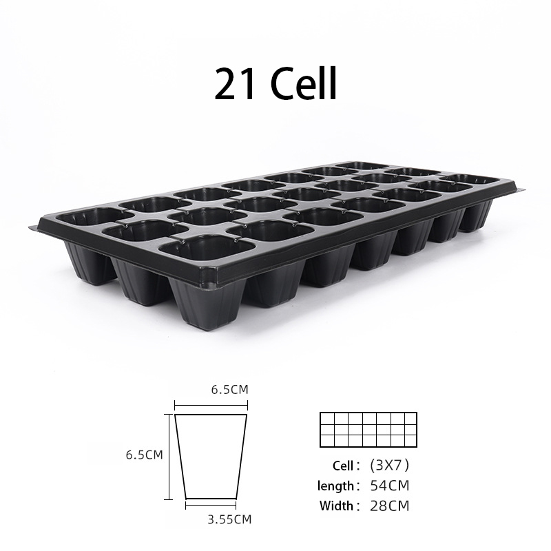 21 cellules noires