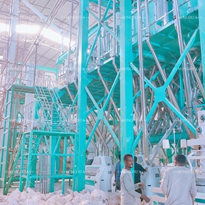 240TPD Industrial Maize Flour <strong>Mill</strong> Machine Milling Plaant in Bahir Dar, Ethiopia - Product Image 3