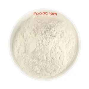 alginezuur zouten e404 calcium alginaat food grade