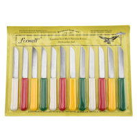 Couteau d'office en acier inoxydable Fuxwell Couteaux de cuisine avec manche confortable en PP