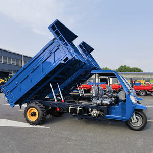 Tricycle diesel à 3 roues haute performance pour le transport de marchandises, le jardinage et l'agriculture, tricycle motorisé - Product Image 1