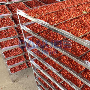 Horno de Secado con Bomba de Calor para Wolfberry, Temperatura Ajustable, Equipo Deshidratador de Wolfberry, Secador de Wolfberry - Product Image 1