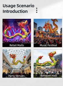 Globo Inflable Promocional con Forma de Dragón, Resistente al Agua, con Control Remoto de 12 Metros, en Oferta - Product Image 5