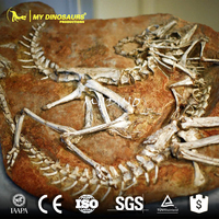 Réplique de fossile de dinosaure Protoceratops et Velociraptor