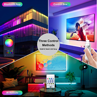Bande LED néon intelligente flexible en PVC souple RGBIC, étanche pour extérieur, avec télécommande USB APP BT, 1M 3M 5M