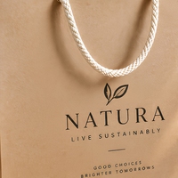 Sac de courses en papier kraft écologique et recyclable, avec ruban en corde de coton durable, impression sérigraphique, logo personnalisé, emballage promotionnel
