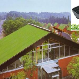 Sistemas de Cultivo Hidropónico para Techos Verdes, Fabricación China, Jardín Vertical en Azotea, Macetas Modulares - Product Image 5