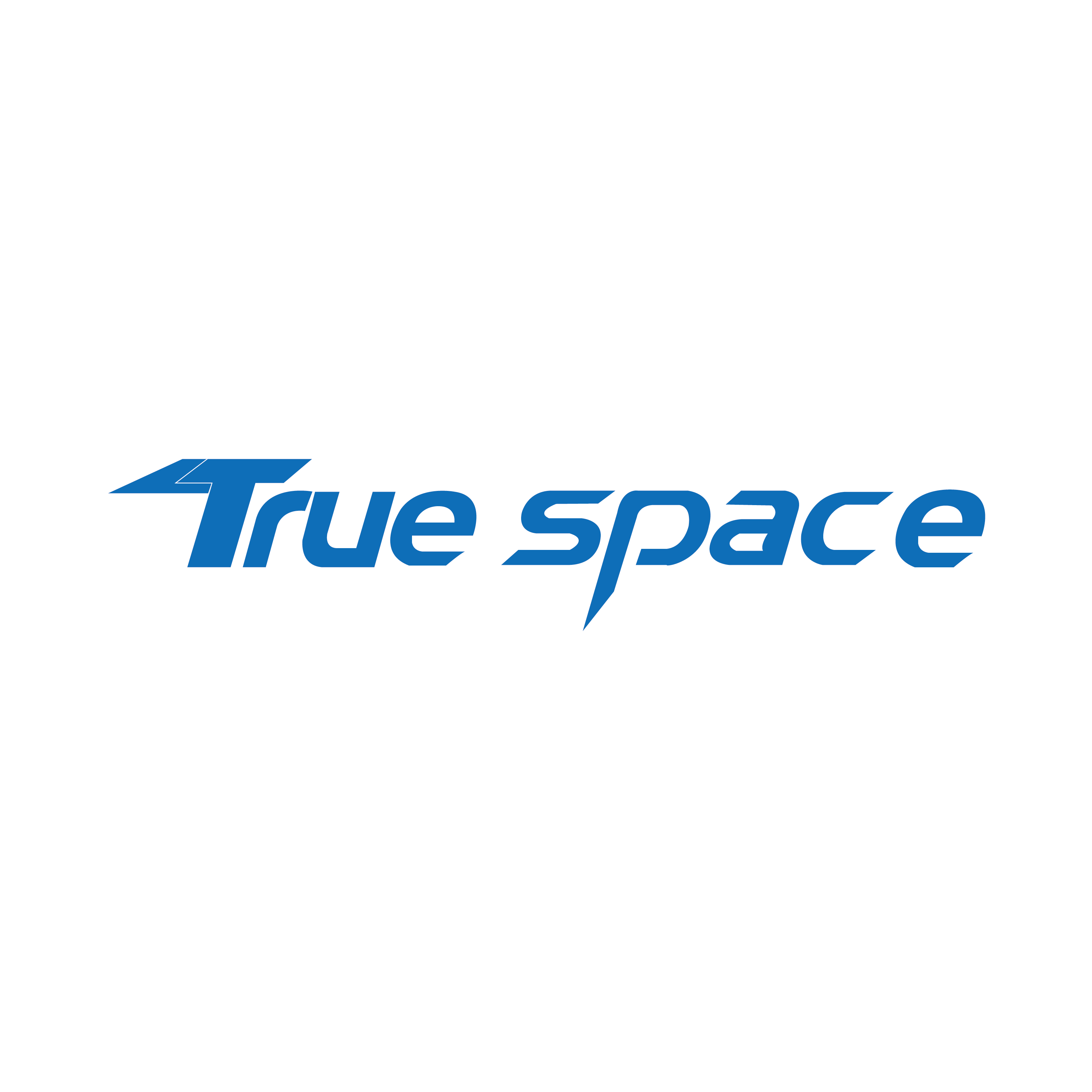 True Space Manufacturing Co., Ltd. logo