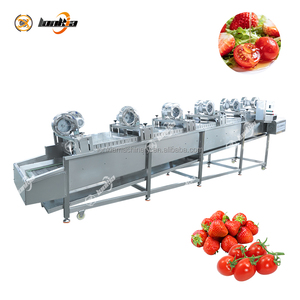 Ligne de traitement des légumes et fruits : élimination des tiges, lavage à bulles, séchage à l'air, découpe pour fraises, <span class=keywords><strong>framboises</strong></span>, cerises, tomates - Product Image 6