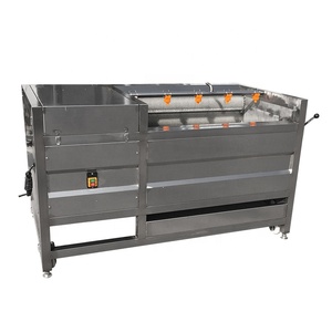 Máquina Profesional para Limpiar Raíces, Verduras y Jengibre - Product Image 5