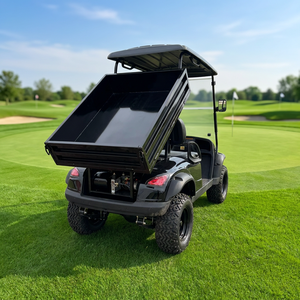 Nouvelle conception de voiturette de golf électrique noire à 2 places homologuée pour la route avec benne de chargement, véhicule <span class=keywords><strong>utilitaire</strong></span> électrique tout-terrain pour l'extérieur - Product Image 2