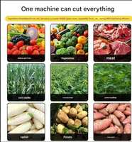 Agricultural Emperor Nouveau Broyeur de légumes et de poulet à usage industriel, haute capacité, 220V/380V, en acier inoxydable