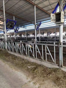 Catenaccio <span class=keywords><strong>per</strong></span> bestiame <span class=keywords><strong>per</strong></span> impieghi gravosi con sistema di alimentazione, bloccacollo <span class=keywords><strong>per</strong></span> <span class=keywords><strong>bovini</strong></span>, cancelli e box <span class=keywords><strong>per</strong></span> bestiame - Product Image 2