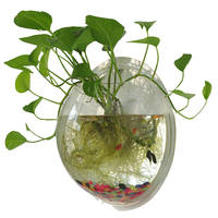 Beliebtes Großhandelsprodukt zum Fabrikpreis: 5L Zylinder Nano-Aquarium aus Ultraklarem Glas, Umweltfreundliches Fischbecken mit Verpackung