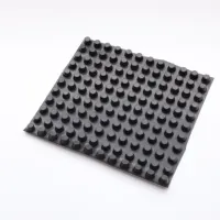 Huis Groen Dak Systeem Tuin Kuiltje Drainage Mat Roll Board Plastic Drain Boord