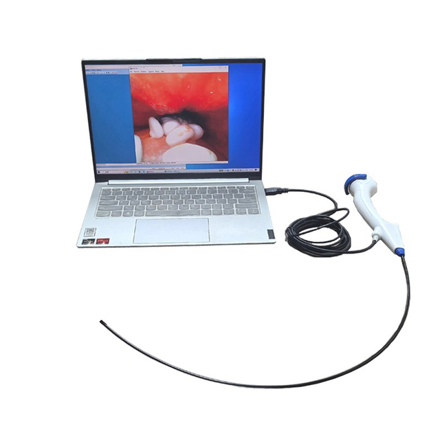 New Durable Reusable Veterinary Pet Ureteroscope Endoscope Wholesale Medical Flexible Bronchoscope Camera Hot Selling Instrument