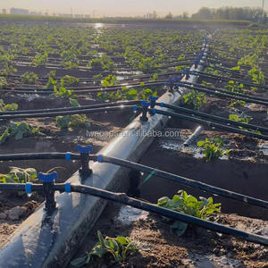 Cinta de Riego por Goteo de Plástico PE de 16 mm, 1 Hectárea, Sistema de Riego por Goteo Agrícola, Emisor Plano, Espaciado de 30 cm, 2000 m/rollo, Gran Venta - Product Image 4