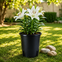 Pot de fleurs en PP blanc, grand, durable, biodégradable et léger, pour jardin extérieur, avec contrôle des racines, style Japandi de luxe, respirant, en promotion
