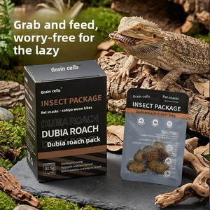 Larvas de Mosca Soldado Negra Estériles para Mantener Frescos a Reptiles, <span class=keywords><strong>Cucarachas</strong></span>, Geckos, Dragones Barbudos, Lagartos y Ranas con Cuernos - Product Image 1