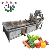 Industriële hogedrukreinigingsmachine voor vers fruit (mango, appel) en groenten met luchtbellen