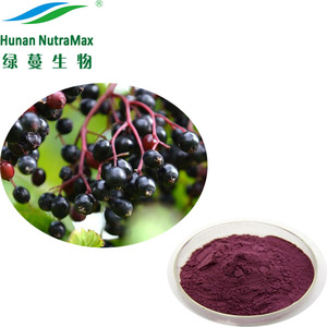 Mẫu miễn phí <span class=keywords><strong>Sambucus</strong></span> <span class=keywords><strong>Nigra</strong></span> Chiết Xuất Anthocyanins Bột 5% 10% bằng HPLC - Product Image 6