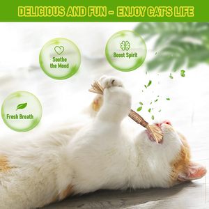 Jouet pour chat en forme de boule en fruits de Polygonum Multiflorum et de raphia Sinensis avec bâtonnet à mordre pour le jeu et l'exercice des molaires - Product Image 2
