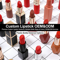 Collection de cosmétiques de beauté minéraux mats de luxe de marque personnalisée, produits de maquillage, rouges à lèvres et gloss à lèvres tendance