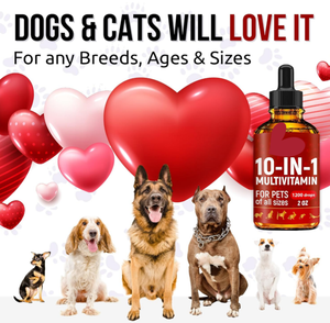 Бесплатные образцы мультивитаминных жидких капель для кошек 10 в 1, витамины и добавки для собак, чтобы помочь при аллергии и утисе для бедер и суставов - Product Image 3