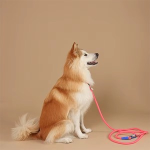 Laisse pour chien durable et écologique avec poignée Summa, design riveté, en TPU - Product Image 4