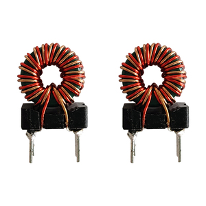 Cuộn Cảm Hình Xuyến Cuộn Cảm Hình Xuyến Cuộn Cảm Hình Xuyến Có Thể Tùy Chỉnh - Product Image 5