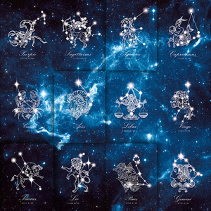 Cartes à jouer Bicycle Creative Constellation <span class=keywords><strong>Star</strong></span> <span class=keywords><strong>Gazer</strong></span> Black Hole, cartes de poker tendance à collectionner, vente en gros / au détail - Product Image 6