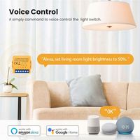 Module d'interrupteur intelligent ZigBee pour mini-dimmer DIY, compatible Alexa Google Home, relais unipolaire 1 canal, PC ABS, courant max. 10A, tension max. 250V