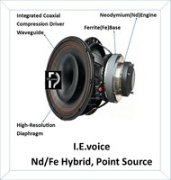 OEM ODM I.E.Voice Black, haut-parleur coaxial professionnel de qualité industrielle de 12 pouces, hybride Nd-Fe à flux élevé