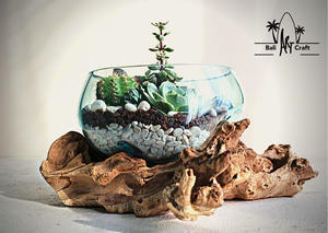 Benutzer definierte unregelmäßige Formen Glas vasen Terrarien Holz Tretlager DIY Geschenk pflanzung Grow <span class=keywords><strong>Terrarium</strong></span> Kit für Kinder - Product Image 3