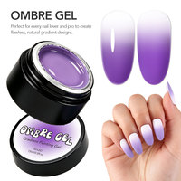 Robifel Vente en Gros Pat Pat Gel Nail Art Painting Gel Effet Blush Éponge Ombre 3D Semi-Solide UV LED OEM Marque Privée Usine