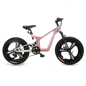 Bicicleta barata para niños y niñas, 20 pulgadas, 10 años - Product Image 1