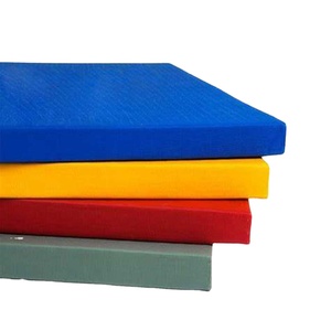 Colchoneta Antideslizante Personalizada de 4 cm de Grosor, Aprobada por la IJF, para Judo, MMA, Taekwondo, <span class=keywords><strong>Boxeo</strong></span> y Grappling, <span class=keywords><strong>Material</strong></span> de PVC - Product Image 1