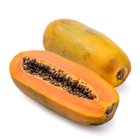 Papaye hybride F1 à haut rendement, pureté 99 %, germination 80 %, pour les producteurs professionnels recherchant une qualité de fruit constante et commercialisable
